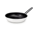 GSI BUGABOO 10" FRYPAN [CO]